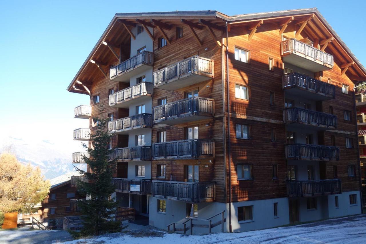Pracondu 1 Outdoor & Fun Appartement 1 Chambre Superieur Avec Balcon By Alpvision Residences Nendaz Bagian luar foto