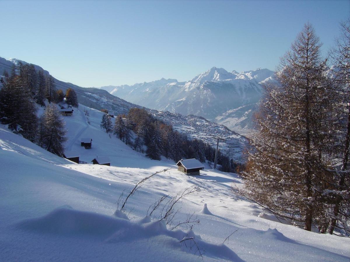 Pracondu 1 Outdoor & Fun Appartement 1 Chambre Superieur Avec Balcon By Alpvision Residences Nendaz Bagian luar foto
