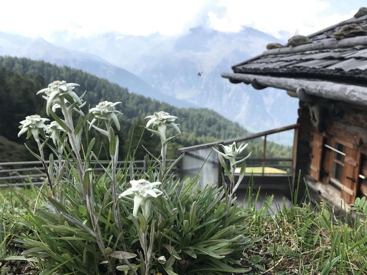 Pracondu 1 Outdoor & Fun Appartement 1 Chambre Superieur Avec Balcon By Alpvision Residences Nendaz Bagian luar foto