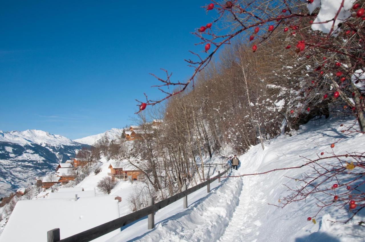 Pracondu 1 Outdoor & Fun Appartement 1 Chambre Superieur Avec Balcon By Alpvision Residences Nendaz Bagian luar foto
