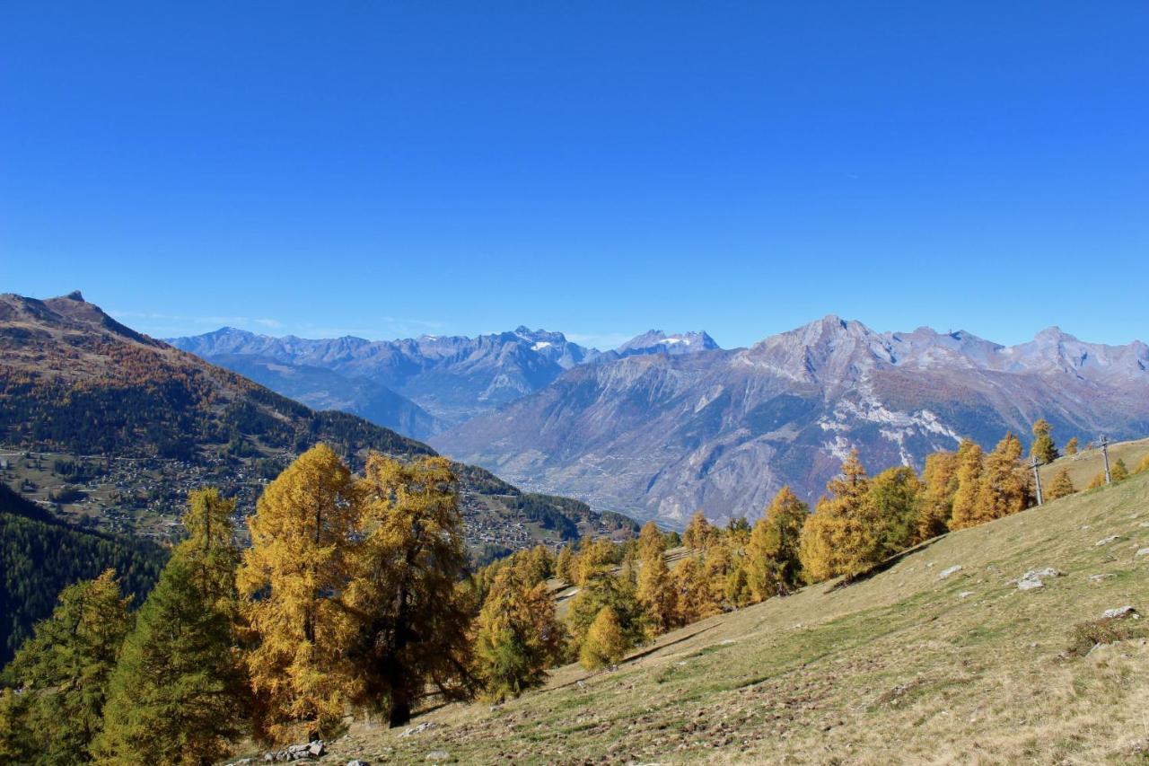 Pracondu 1 Outdoor & Fun Appartement 1 Chambre Superieur Avec Balcon By Alpvision Residences Nendaz Bagian luar foto
