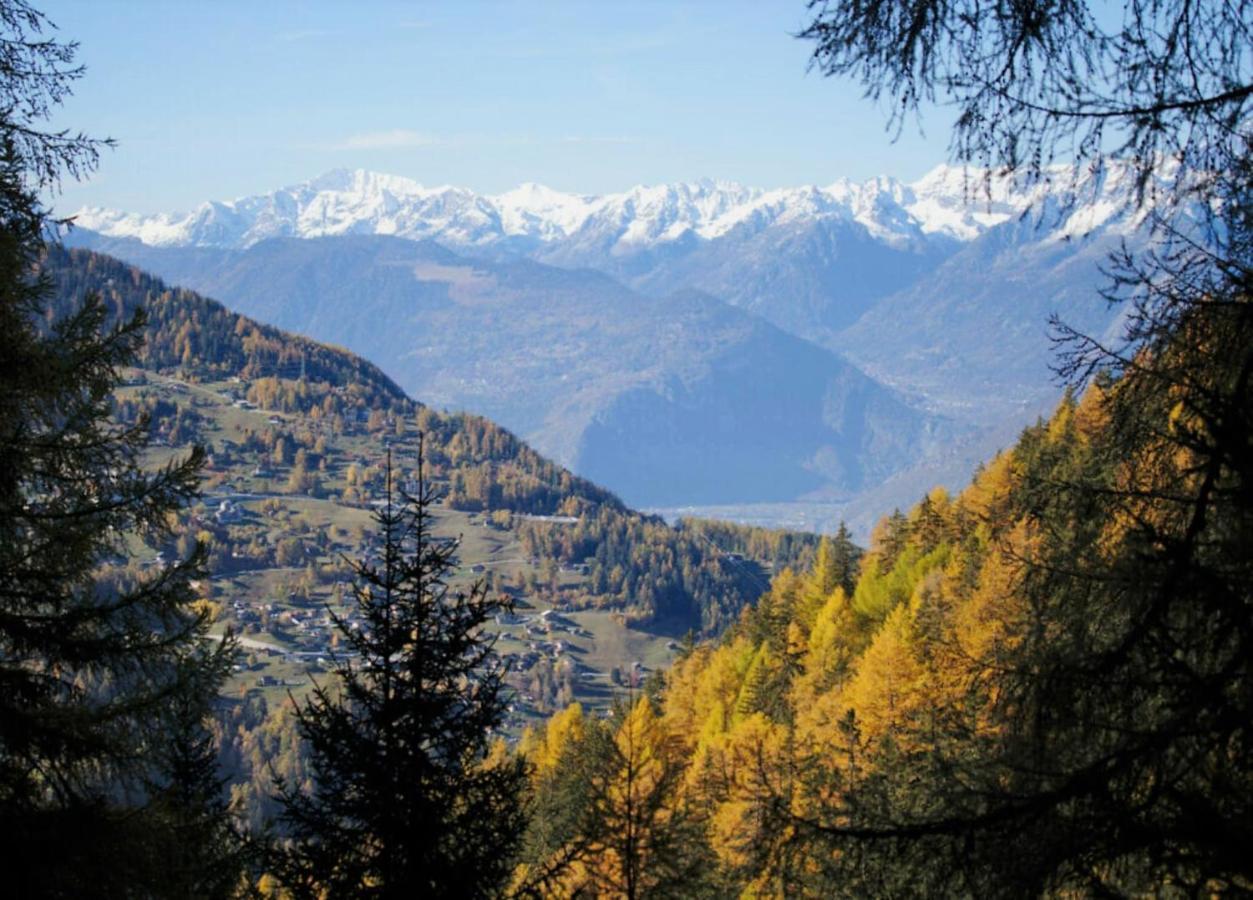 Pracondu 1 Outdoor & Fun Appartement 1 Chambre Superieur Avec Balcon By Alpvision Residences Nendaz Bagian luar foto