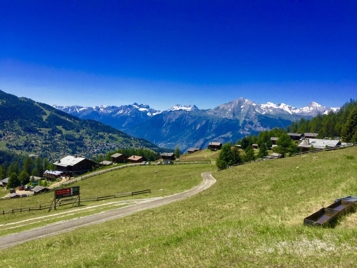 Pracondu 1 Outdoor & Fun Appartement 1 Chambre Superieur Avec Balcon By Alpvision Residences Nendaz Bagian luar foto